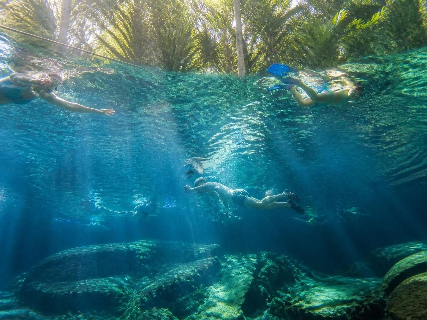 discover everything you need to know about swimming in mexico's stunning cenotes with this complete guide, including tips, safety advice, and the best cenotes to visit.