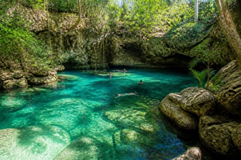 discover the ultimate guide to swimming in cenotes in mexico, including tips, safety advice, and the best spots to explore these natural freshwater sinkholes.