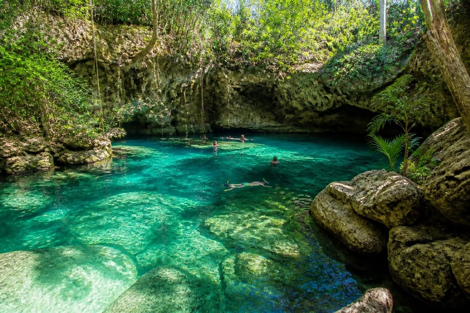 discover the ultimate guide to swimming in cenotes in mexico, including tips, safety advice, and the best spots to explore these natural freshwater sinkholes.