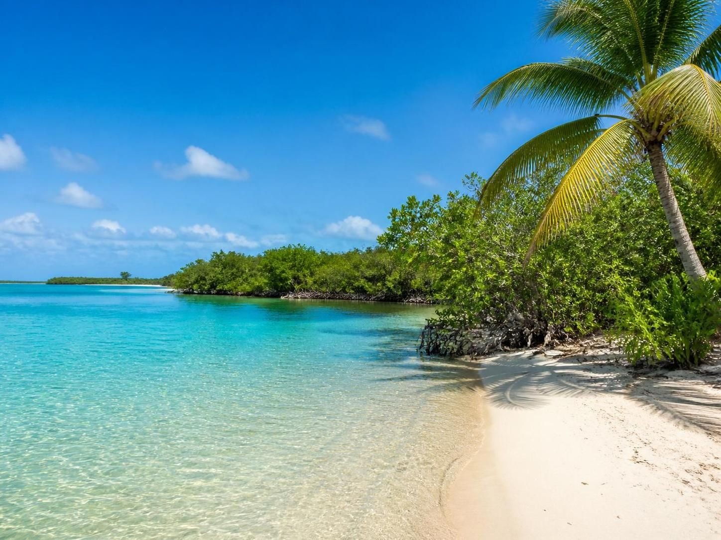 Explorez les plages secrètes et préservées de la Riviera Maya pour une escapade inoubliable sous le soleil, le sable fin et la tranquillité. Trouvez votre havre de paix idéal dès aujourd'hui !