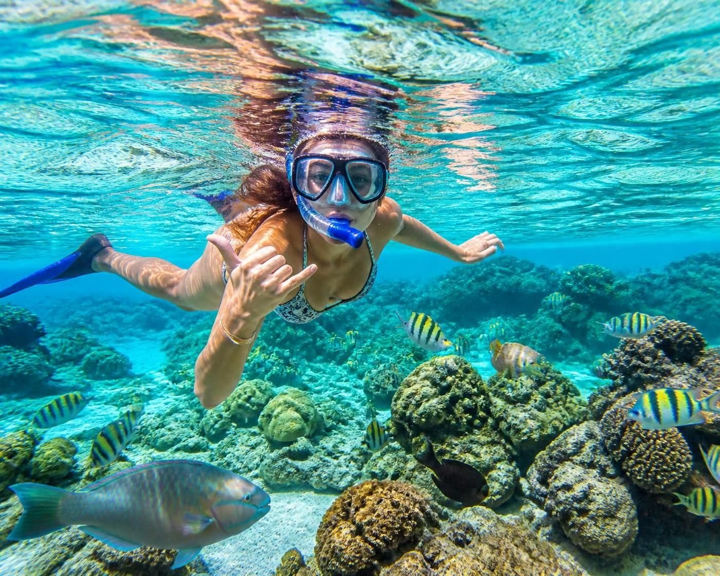 discover the best snorkeling spots in riviera maya for an unforgettable underwater adventure filled with vibrant marine life, crystal-clear waters, and breathtaking coral reefs.