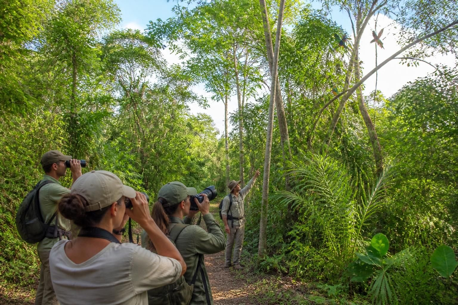 Discover the best bird watching Yucatan tours for nature lovers
