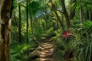 discover the top jungle hiking trails in riviera maya for an unforgettable adventure through lush tropical landscapes and vibrant wildlife.
